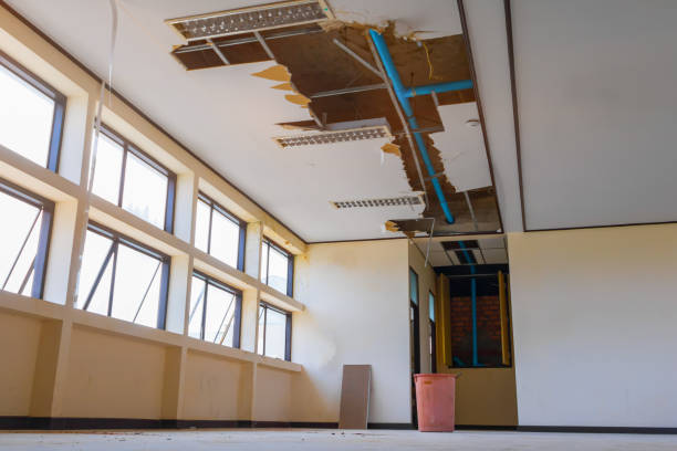 Best Basement water damage restoration  in Britton, SD