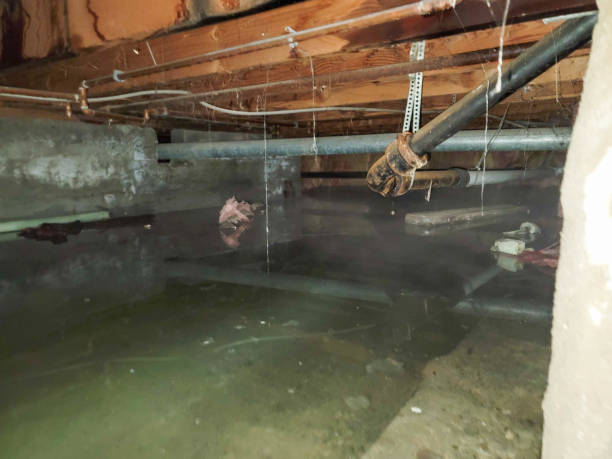 Best Ceiling water damage repair  in Britton, SD