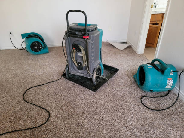 Best Water damage restoration near me  in Britton, SD
