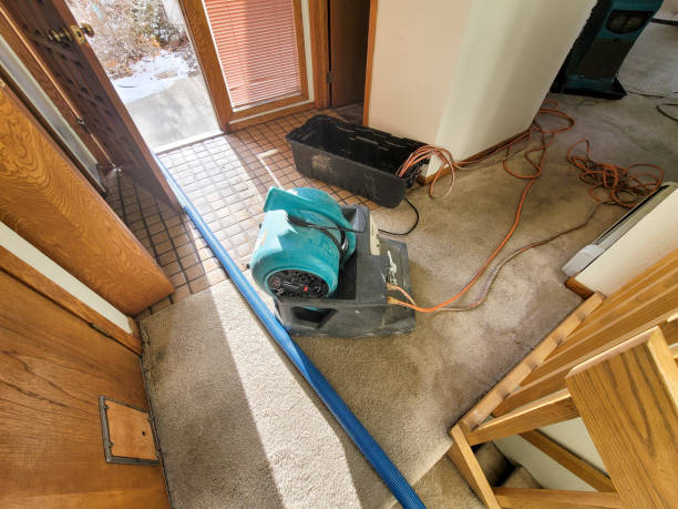 Best Fire Damage Restoration  in Britton, SD