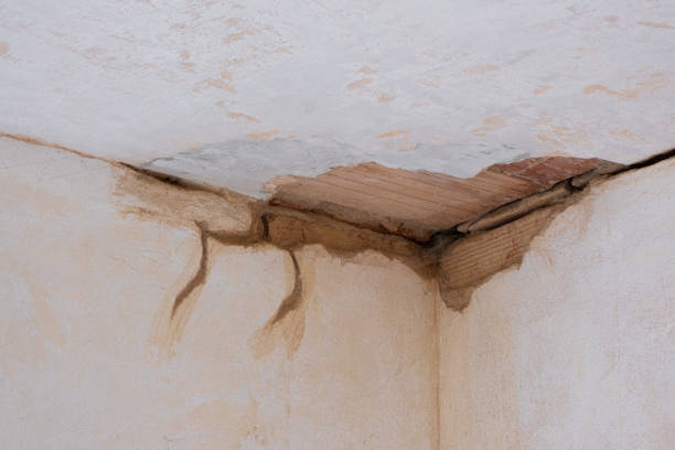 Best Water damage cleanup near me  in Britton, SD