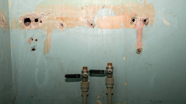 Best Water damage restoration near me  in Britton, SD