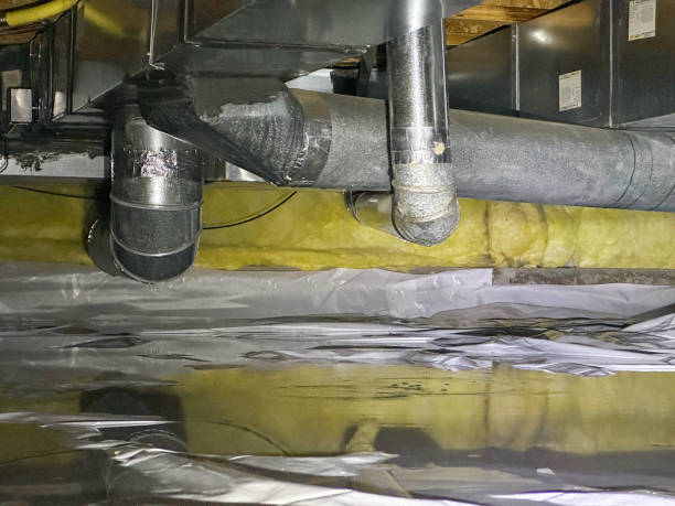 Best Carpet water damage restoration  in Britton, SD