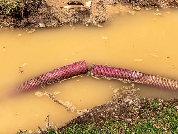  Britton, SD Water damage restoration Pros